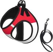 Singapore Flag print Dog Harness and Leash Set, Reflective Adjustable Puppy Vest for Small Medium Large Dogs, Cats