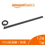 AMAZON BASICS 12孔插座 鋁合金電源排插 工業用插座 PDU延長線 1U12