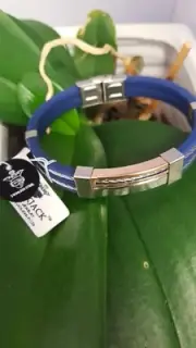Black Jack Men's Bracelet Blue Bangle Stainless Steel New
