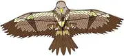 EHJRE Eagle Kite for Beginners, Large Size, Suitable for Outdoor Use with String, Brown