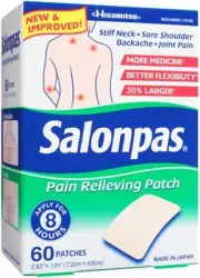 Salonpas Pain Relief Patches 60 ea (Pack of 6)