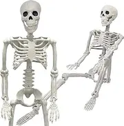 36" Halloween Skeleton Decoration - 3FT Realistic Full Body With Movable Posable Joints for Graveyard, Haunted House Props, Indoor/Outdoor Decor