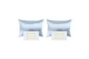 2PK Royal Comfort Pure Silk Pillowcase Single Pack Protector 51x76cm Soft Blue