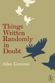 Things Written Randomly in Doubt - 9781908251275