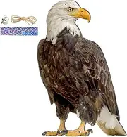 Bird, Owl Decoy Fake Owl Statue Bird Scarecrow Repeller for Outdoor Garden Yard, Owl Decoy, Standing Falcon Life-Like Decoy s
