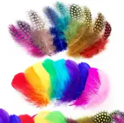 Craft Feathers 300Pcs Colorful Feathers for Craft DIY Wedding Home Party Decorat