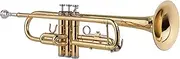 Standard Bb Brass Trumpet Wind Instrument with Mouthpiece Carry Bag Gloves Cleaning Cloth Tuner Gold One Size