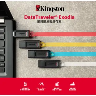 Kingston 金士頓 64G 128G 256G 隨身碟 DTX 含稅公司貨 64GB 128G 五年保固