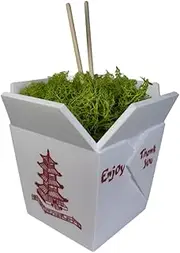 AXICIR Chinese Take-Out Box Planter 3D Printed Flower Pots for Indoor Plants Unique Gifts for Women (Moss Not Included)