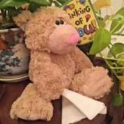 Sick Teddy Bear Cold Get Well Soon Sneeze Flu Tissue Stuffed Animal 12" WR17208