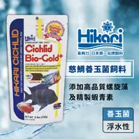 在飛比找蝦皮商城優惠-Hikari 高夠力 慈鯛善玉菌飼料 浮水性 Mini顆粒 