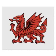 2 x 'Welsh Red Dragon' Microfibre Lens / Glasses Cleaning Cloths (LC00028814)