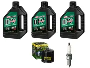 Oil Change Kit Yamaha Rhino YXR 700 Tune Up NGK Spark Plug Filter YXR700 08/13
