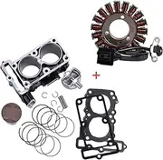 Motorcycle Engine Spare Piston Ring Tool Cylinder Head Gasket Kit Set +Stator Coil for Ninja 300 Ninja300 ABS 2013-2015