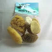 Natural Sea Sponges For Artists Harvested from Florida Keys & Caribbean Bag of 6