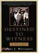 Destined to Witness ─ Growing Up Black in Nazi Germany