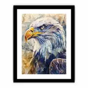Eagle Framed print Art Poster