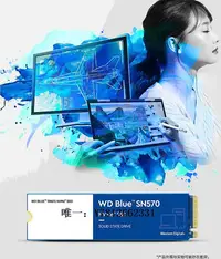 在飛比找Yahoo!奇摩拍賣優惠-電腦零件WD/西部數據 藍盤SN570 250G 500G 