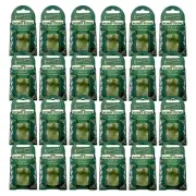 SET OF 24 WORRY IRISH CONNEMARA MARBLE STONES