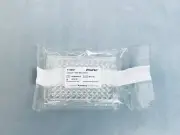 Thermo Nunc Microplate UpCell 96 Well Multidish Single Sealed Plate