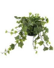 Creative Displays Ivy Arrangement In A Glass Vase