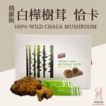 【洋可夫】俄羅斯 西伯利亞 野生 白樺樹茸 恰卡 CHAGA 蘇聯靈芝 萃取粉 真菌 菌菇 原始樺木林 白樺樹 真空乾燥