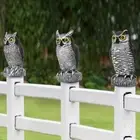 Scare Birds Away Bird Deterrent Large Size Pest Control New Birds Away