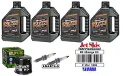 Yamaha V Star 1300 Oil Change Tune Up Kit 20W50 4 Quarts Spark Plugs Oil Filter