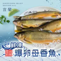 在飛比找ihergo愛合購優惠-免運!【雪莉朵辣嚴選】宜蘭鮮凍爆卵母香魚 500g/包 (2