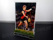 ✺Signed & Framed✺ MICHAEL HURLEY Photo PROOF COA Essendon Bombers AFL