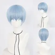 Frieren: Beyond Journey's End Frieren Himmel Anime Cosplay Wigs Cosplay Wigs Halloween Carnival Party Comic Con Wig For Men's Adults'