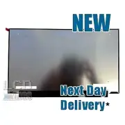 Dell Alienware M15 R7 HMH2Y 15.6" 2560 x 1440 Laptop Screen 240Hz
