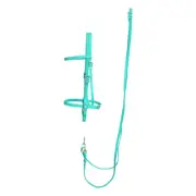 HORSE SIZE- Teal ENGLISH bridle, breast collar, reins SET made of BETA BIOTHANE