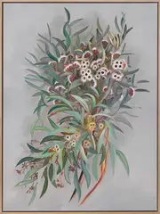 Gumnut Canvas Art Print