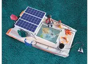 Great Barrier Reef Examination