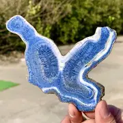 80G Natural Blue Coral Reef Cluster Marine Mineral Crystal Specimen