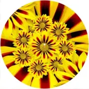 Slipmat Slip Mat Felt for 12" Turntable LP DJ Vinyl Record Player FLOWER POWER 8
