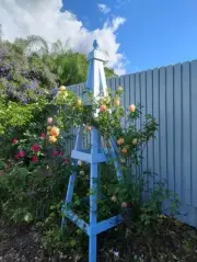 1.9m Garden Wooden Obelisk Pyramid Plant Support Trellis Climbing Frame Outdoor.