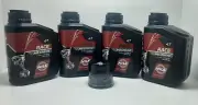 Inspection Set 4L Oil NILS RACE 10W40 Full Synthetic Honda CBR 400 RR 88/89