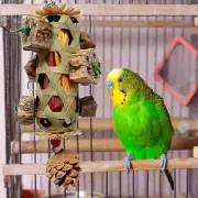 Bird Chewing Toy Novelty Exercising Bird Cage Toy for Garden Porch Supplies