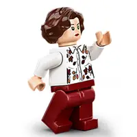 在飛比找蝦皮商城優惠-LEGO人偶 HP217 佩妮德思禮 哈利波特系列【必買站】