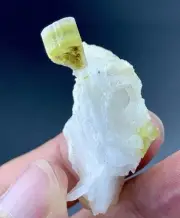 46 Carat Tourmaline Crystal Specimen From Afghanistan
