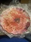Inspire Me! Home Decor Set Of 4 Printed Melamine Plates~flora Design~NIB