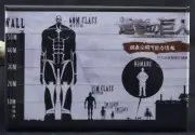 Attack on Titan 2" X 3" Fridge / Locker Magnet. Japanese Animation