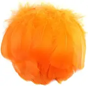 Wepetyo 300 Pcs Feathers Crafts for DIY Craft,Goose Feathers Bulk,Feathers