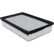 Baldwin PA10385 Engine Air Filter For Select 02-14 BMW Rolls-Royce Models (for: BMW)