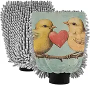 XYMZR Birds Heart Red Vintage Absorbent Microfiber Car Wash Mitt, Funny Cute Anime Scratch Free for Cars Cleaning, Home Cleaning Mitts, 2 Pack, 10.24” L x 7.09” W