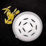 PASTADISC Riso Pasta Shape Discs Fit For Philips Automatic Pasta & Noodle Maker, Disc Compatible With Philips Pasta Maker Attachments Kitchen Appliances Pasta Maker Accessory Kit (Riso)