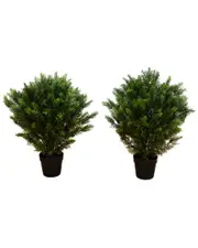 Nearly Natural Set of 2 Indoor/Outdoor UV-Resistant 3ft Artificial Cedar Trees