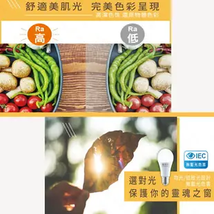 舞光 LED 10W E27 居家燈泡 全電壓 球泡 白光/黃光/自然光〖永光照明〗%LED-E2710DR6